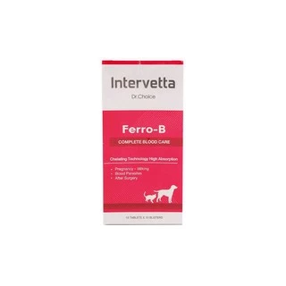 Dr.Choice Ferro-B (Exp.10/2027) บรรจุ 100 เม็ด อาหารเสริมเพื่อช่วยบำรุงสำหรับสุนัขและแมว