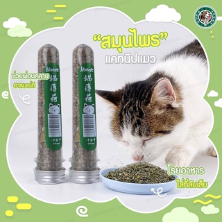 【ถูกที่สุด พร้อมส่ง 】😺 สมุนไพรแมว Catnip ออร์แกนิคแบบหลอด แคทนิปแมว ออร์แกนิคแบบหลอด ช่วยผ่อนคลายให้น้องแมว