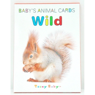 สมุดการ์ดคำศัพท์พร้อมส่ง Baby animal cards