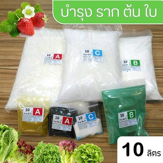 ปุ๋ย ABC Hydroponics Balance ไฮโดรโปนิกส์ บาลานซ์ ดูแลใบดอกผลรวม ชนิดแห้ง ชุดขนาด 10 ลิตร ( A10L, B10L, C10L) บำรุงต้นใบ