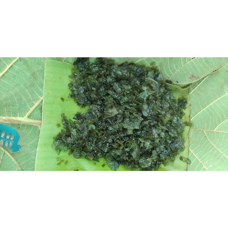 เห็ดหินสดๆปลอดสารพิษ100%ห่อละ40
