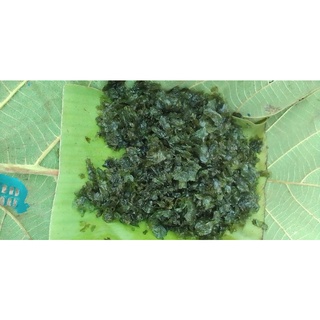 เห็ดหินสดๆปลอดสารพิษ100%ห่อละ40