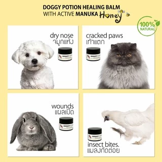 Doggy Potion Healing Balm ขนาด 20g