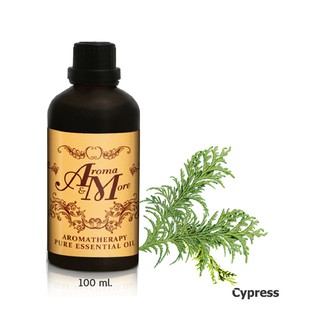 Aroma&amp;More  CYPRESS Essential Oil 100% France - น้ำมันหอมระเหย สนไซเพรส 100% ฝรั่งเศส 100ML