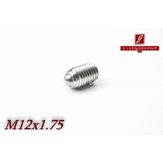 น็อตตัวหนอนปลายลูกปืนสแตนเลส M12x1.75x20