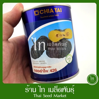 ฟักทอง ทองอำไพ 426 เมล็ดพันธุ์ ฟักทอง ลูกผสม ตรา เจียไต๋ บรรจุ 100 กรัม