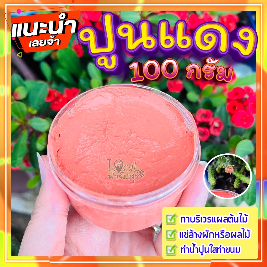 ปูนแดง (Red Lime) 🍁100 กรัม ปูนแดงทาแผลต้นไม้  ปูนแดงทาต้นไม้