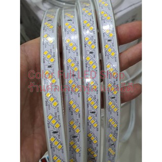 ไฟเส้น Led Strip 2835 IP65 220v 3000K-6500K 180led/M (ยกม้วน 50ม.)