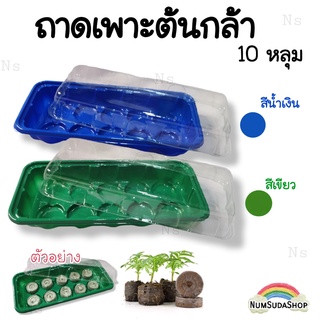 ถาดเพาะ กล่องเพาะเมล็ด ถาดเพาะกล้า ถาดชำกล้า 10ช่อง