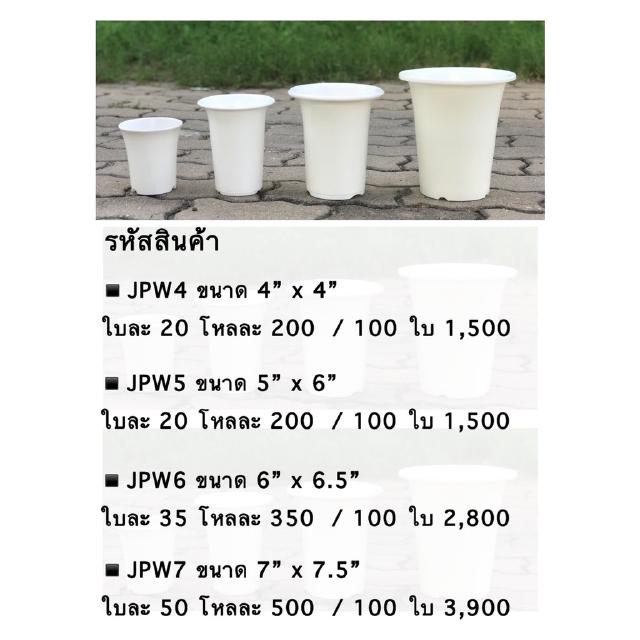 JPW กระถางต้นไม้ มีให้เลือก 4 ขนาด สีขาว 1 โหล