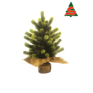 ต้นคริสต์มาสกิ่งสปรูส  30 ซม.ห่อผ้ากระสอบ (Christmas Tree-Spruce 30 cm)