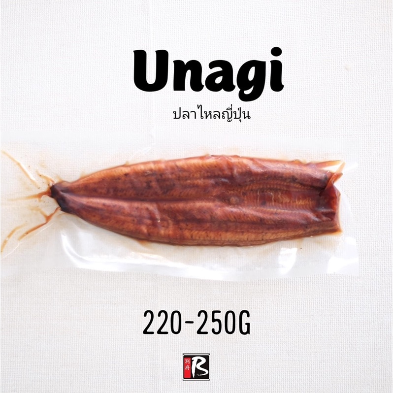 ปลาไหล unagi ปลาไหลญี่ปุ่น จัมโบ้ ไซส์ 45