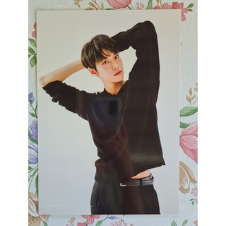 [ส่ง10มค] โปสเตอร์ A4 โดยอง Doyoung NCT127 2021 Seasons Greetings Mini Poster