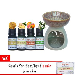 SenOdos ชุดเซ็ต น้ำมัน + เตาเผา น้ำมันหอมระเหย (ชุดกลิ่นสำหรับผู้หญิง) Essential Oil For Women Set2 10 ml x 4 กลิ่น