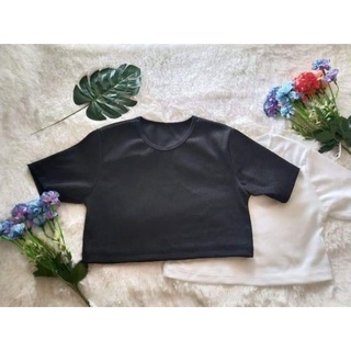 เสื้อครอปผ้าร่อง อกฟรีไซส์