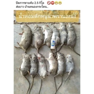 หัวเชื้อดักหนู ใช้สำหรับล่อหนูนา ขนาด 50 ML.
