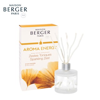 Aroma Energy Scented Bouquet Maison Berger Paris:ก้านหอมสำหรับบ้าน ดับกลิ่น บ้านหอม กลิ่นหอมสดชื่น