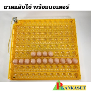 ถาดฟักไข่ ไก่ ขนาด 98 ฟอง พร้อมมอเตอร์ 220v 3/5rpm ขนาด 54x56 cm สินค้าในไทยไม่ต้องรอของ