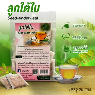 ชาลูกใต้ใบ Herbal tea ชาสมุนไพรแบบซองขนาด 20 ซอง ไม่มีน้ำตาล เครื่องดื่มสมุนไพรเพื่อสุขภาพ