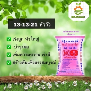 ปุ๋ย 13-13-21 หัววัวคันไถ เร่งลูก เพิ่มหวาน เร่งสี เพิ่มน้ำหนัก พืชทุกชนิด