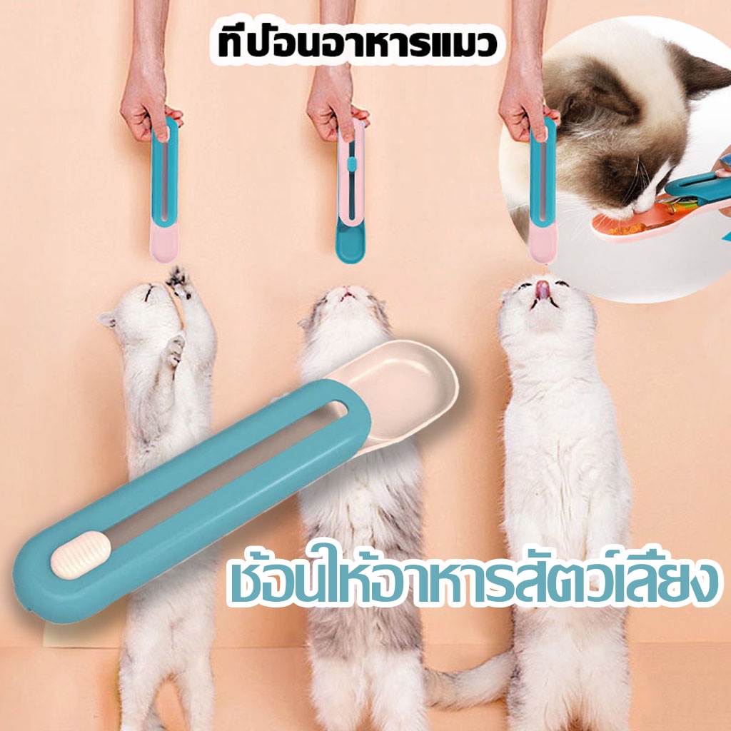 ช้อนป้อน ช้อนป้อนอาหารสัตว์เลี้ยง ขนมแมวเลีย สุดฮิตจากญี่ปุ่น ที่ให้ แมวเลีย ขนมแมว