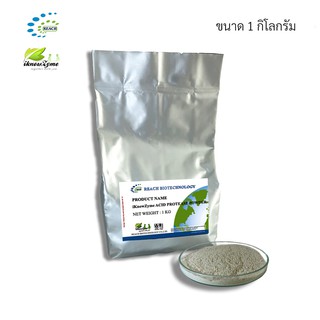 iKnowZyme Acid Protease Powder เอนไซม์ แอซิด โปรตีเอส  ขนาด 1 กิโลกรัม