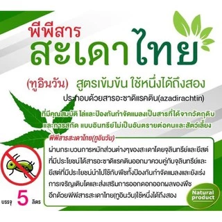 สารสะเดา พีพีสารสะเดาไทย(ทูอินวัน)สูตรเข้มข้น++บรรจุ 5ลิตร (จำนวน 1แกลลอน)++ฟรีช่วงโปรโมชั่น(ฟรีสารจับใบ150ซีซี 1ขวด)
