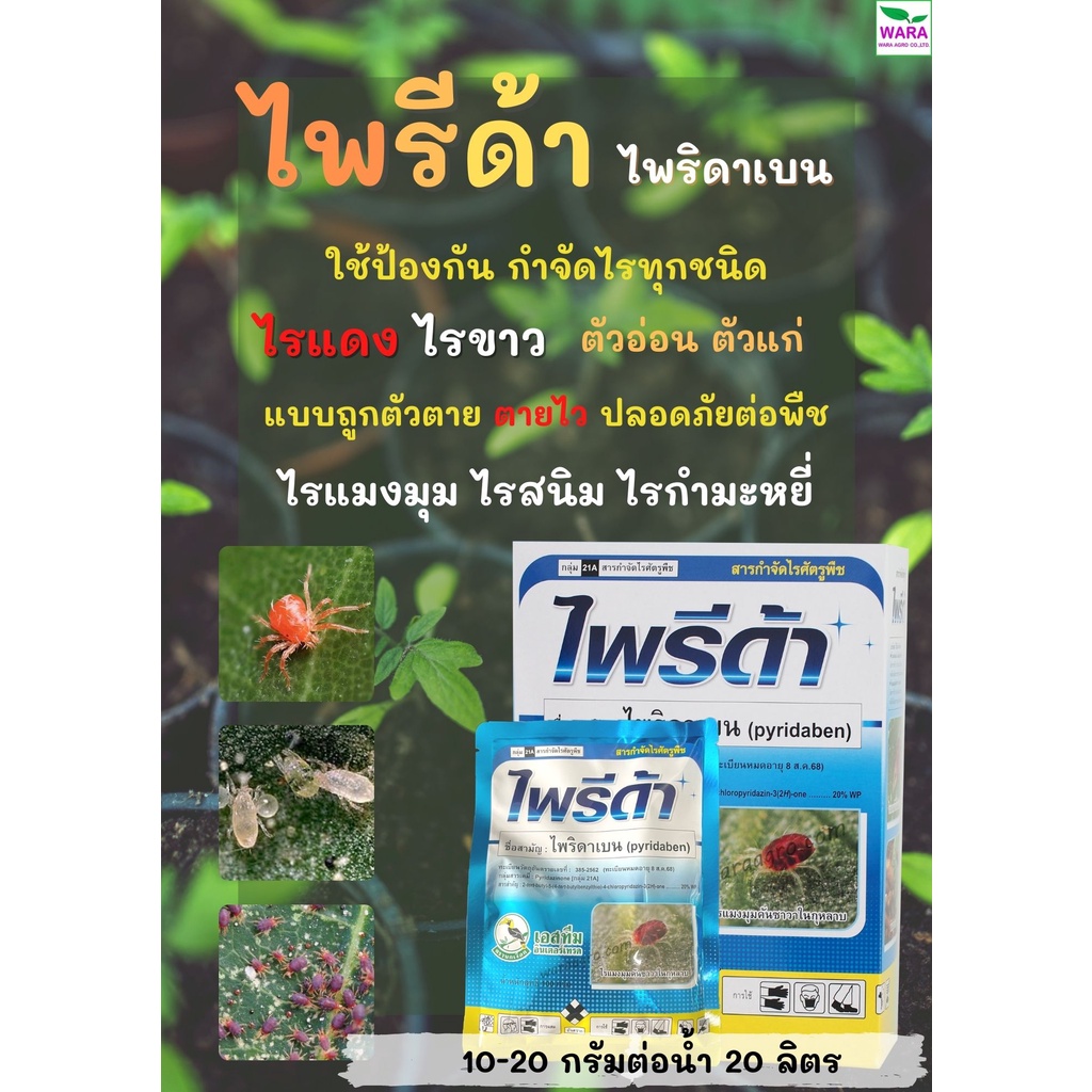 ยาน็อคไรแดง ไรขาว ไรตัวแก่ ไรตัวอ่อน คุมไข่ แบบถูกตัวตาย ตายไว ไพริดาเบน20 เข้มข้น ไพรีด้า