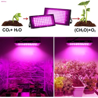 220V Full Spectrum LED Grow Light 50W/100W ไฟปลุกต้นไม้ ไฟช่วยต้นไม้ตัวเร็ว มีสวิตช์ปิดเปิด ไฟสปอร์ตไลท์