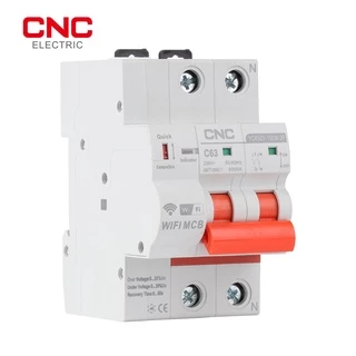 Cnc YCB9ZF-100W 2P เบรกเกอร์วงจรอัจฉริยะ WiFi ป้องกันไฟฟ้าลัดวงจร Timed Smart Reclosing Switch รีโมทคอนโทรล