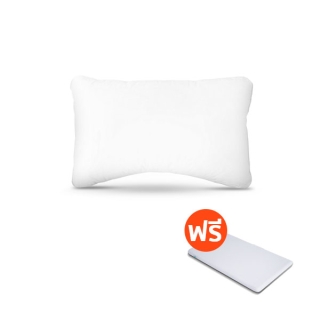 [Free! แผ่นรองหมอน] Bewell HybridDown Ergonomic Pillow หมอนสุขภาพ รุ่นไฮบริดดาวน์ ผสมขนห่านแท้เกรดพรีเมียม กับเส้นใยไมโครดาวน์