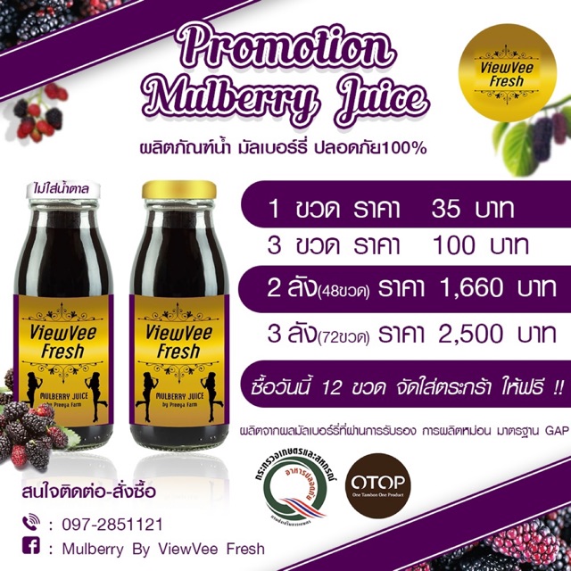 Mulberry By ViewVee Fresh