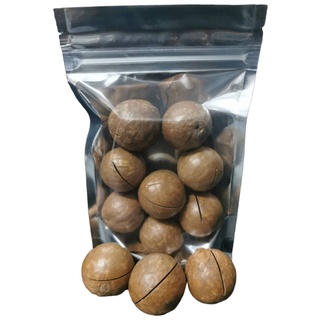 เเมคคาเดเมียร์ 75g. โปรตีนสูงไขมันต่ำสำหรับสัตว์ฟันเเทะดีมาก