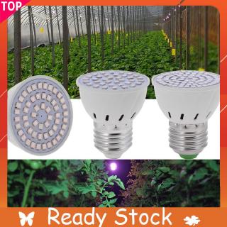 tf 220 v e 27 2835 smd ไฟ led สีแดง+สีฟ้าสําหรับช่วยให้พืชเจริญเติบโต