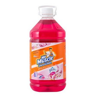 น้ำยาถูพื้น 5.2 ลิตร MR.MUSCLE ฟลอรัล เพอร์เฟ็คชั่น  DAILY CLEANER MR.MUSCLE 5.2L FLORAL PERFECTION