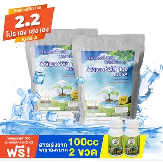 โปรโมชั่นพิเศษสุดคุ้ม 2 ฟรี 2 ซื้อโพลิเมอร์เม็ดกลาง 2 กิโลกรัม แถมฟรีสารเร่งรากขนาด 100ซีซี 2 ขวด