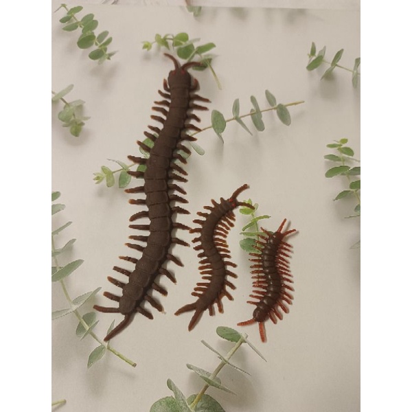 ตะขาบปลอม ตะขาบยาง ปาร์ตี้ฮาโลวีน ตะขาบสีน้ำตาล มี3ขนาด✌ - รูปที่ 6