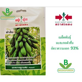 5 ฟรี 1 คละได้ เมล็ดพันธุ์ มะละกอลูกผสม ตำส้ม ตรา ศรแดง เมล็ดพันธุ์ผัก เมล็ดผัก เมล็ดพันธุ์พืช  เมล็ดพืช ผักสวนครัว