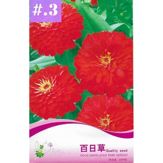 เมล็ดดอกบานชื่น คละสี 50เมล็ดเมล็ด  (สีแดง)บานชื่นซ้อน Zinnia Flower  เมล็ดพันธุ์นำเข้า   พันธุ์แท้100%  FL-02401