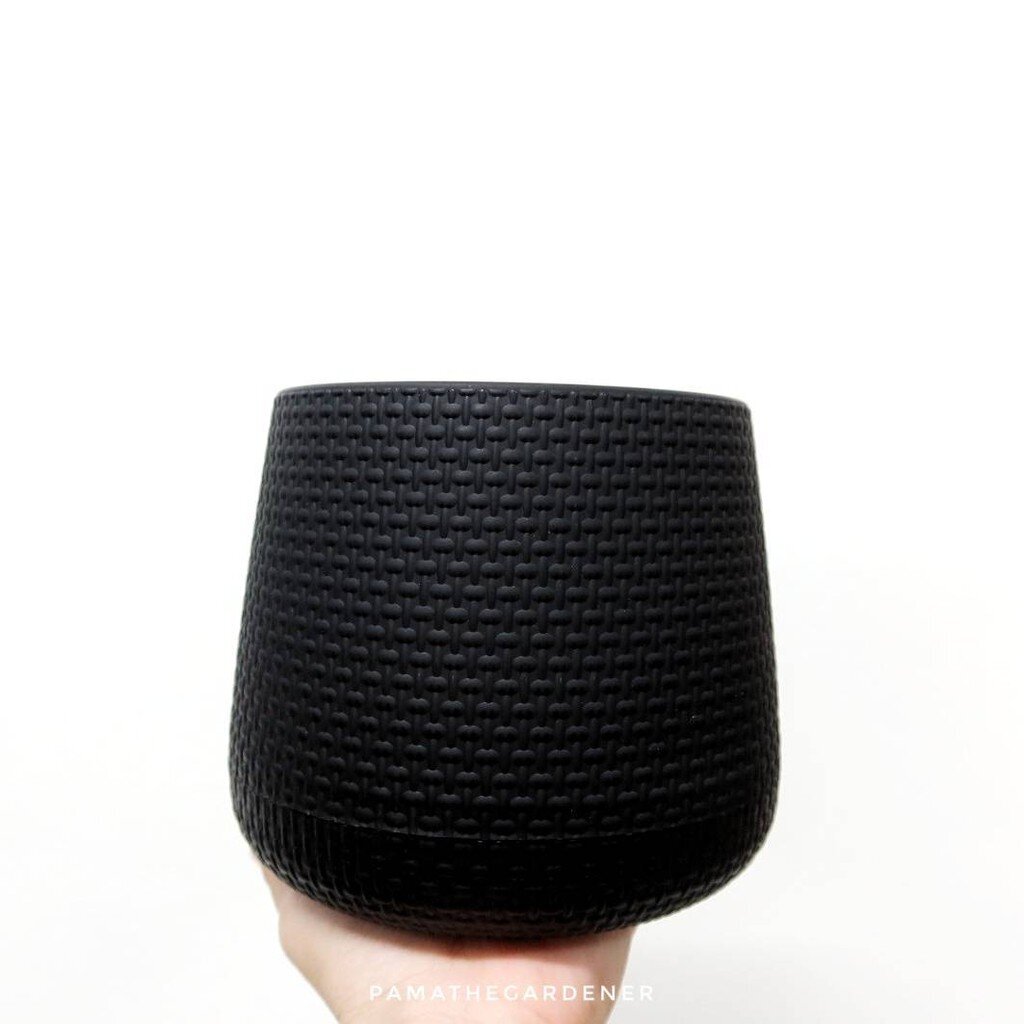 มุมมอง 5