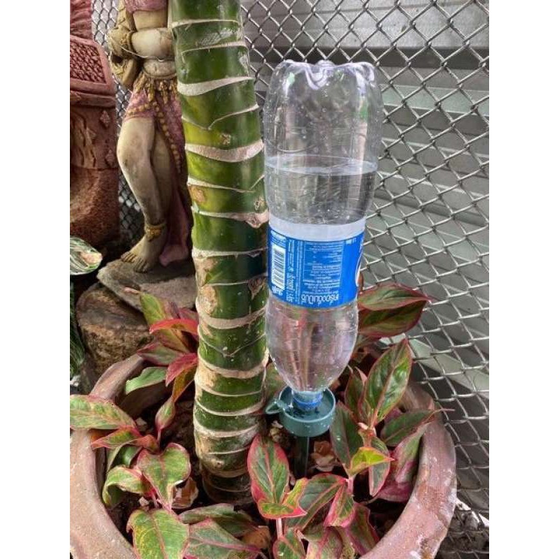 หัวน้ำหยดต้นไม้ ที่รดน้ำต้นไม้อัตโนมัติ น้ำหยด DIY ส่งจากไทยใน1วัน - รูปที่ 2