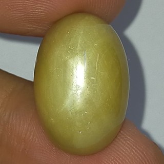 พลอย สตาร์ แซฟไฟร์ หลังเบี้ย ธรรมชาติ แท้ ( Natural Star Sapphire ) หนัก 33.86 กะรัต