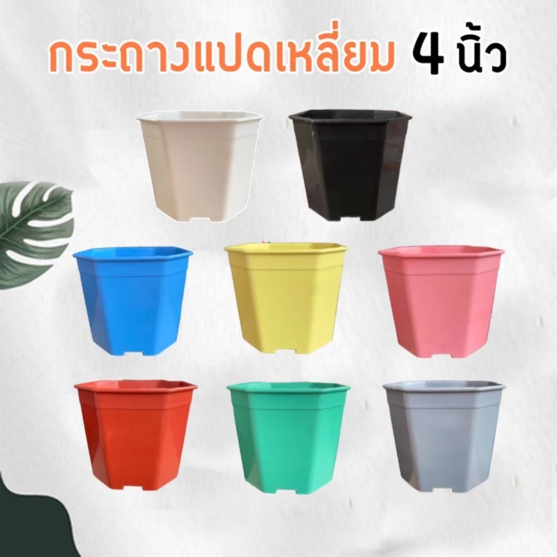 กระถางแปดเหลี่ยม 4นิ้ว ชุด10ใบ กระถางต้นไม้ กระถางพลาสติก
