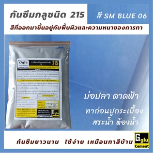 กลู (gglu) กาวซีเมนต์กันซึม ชนิดทา 215 สีฟ้า SM BLUE 06 ขนาด 1กกทาป้องกันและแก้ไขการรั่วซึม ดาดฟ้า ห้องน้ำสระน้ำ บ่อปลา