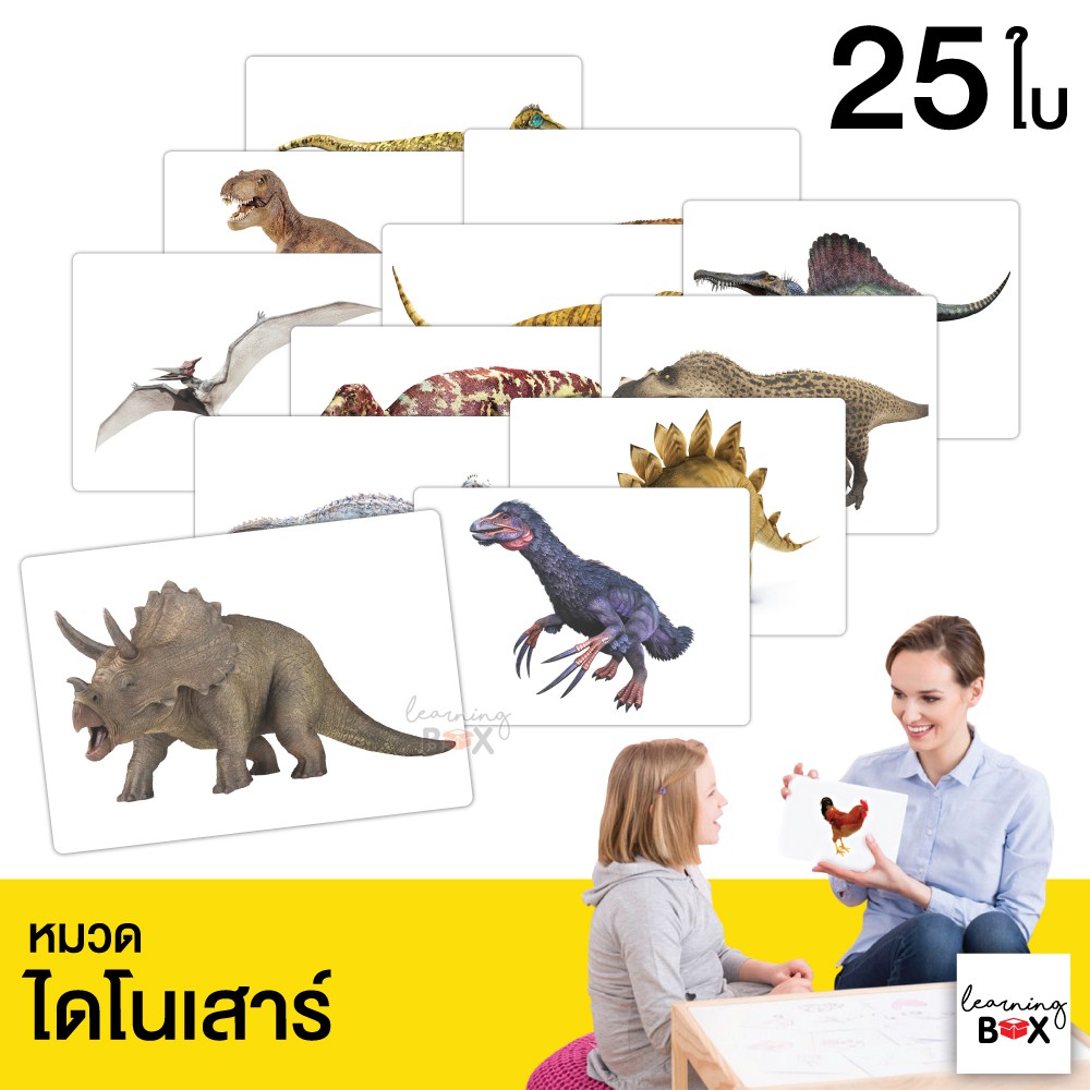 flashcard แฟลชการ์ด บัตรคำศัพท์ใหญ่ [ หมวด ก-ฮ ]