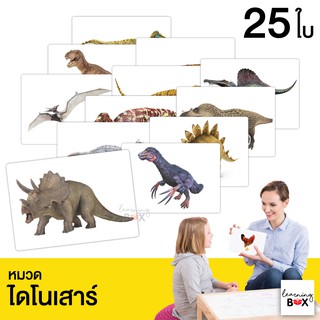 flashcard แฟลชการ์ด บัตรคำศัพท์ใหญ่ [ หมวดไดโนเสาร์ Dinosaur]