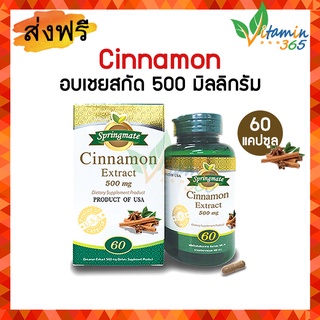 Springmate Cinnamon 500 mg สปริงเมท อบเชยสกัด 60 แคปซูล