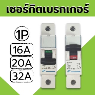 เซอร์กิต เบรกเกอร์ ลูกย่อย 1P AC Circuit Breaker