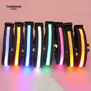 ปลอกคอไนล่อน มีไฟกระพริบ LED สําหรับสัตว์เลี้ยง สุนัข