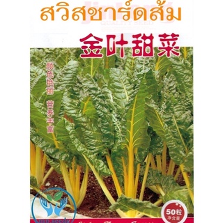 เมล็ด สวิสชาร์ด สีส้ม Swiss Chard บรรจุ 50 เมล็ด